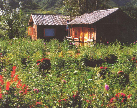 p0920.jpg