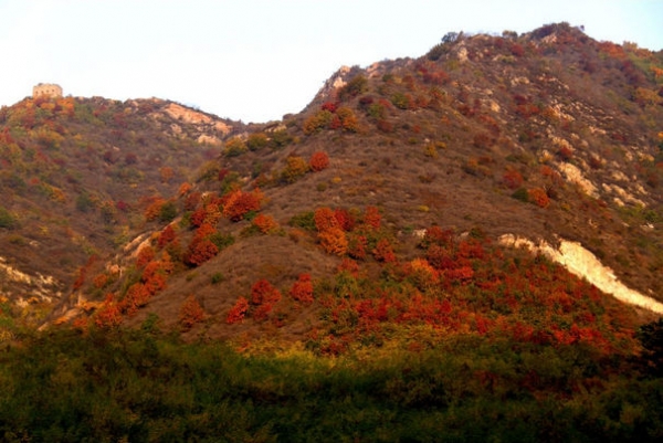 p0901.jpg