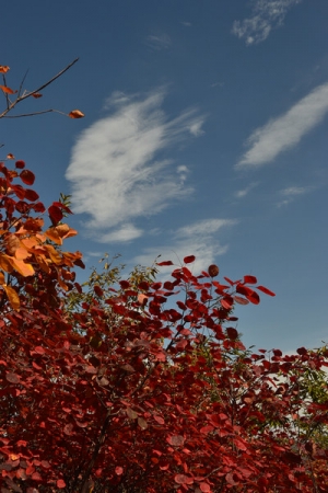 DSC_0674.JPG