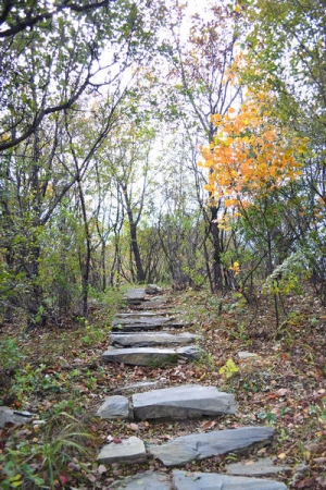 DSC_0719.JPG