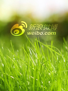 weibostartV.jpg