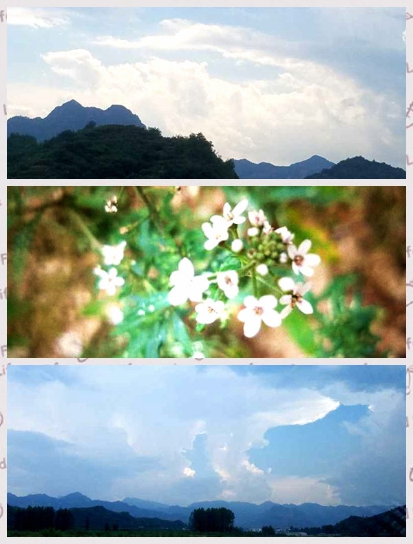 光影魔术手拼图2.jpg