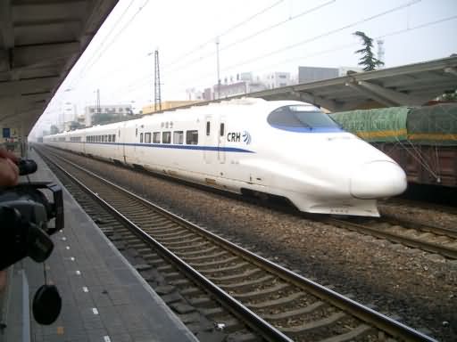 IMGP3737_副本.JPG