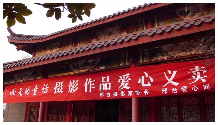 组图：1