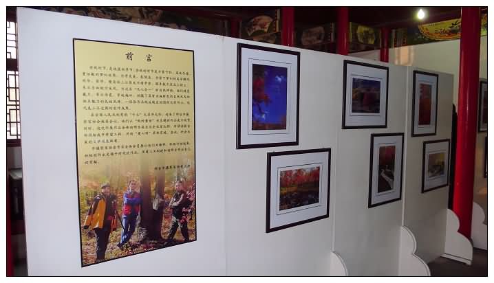 组图：2