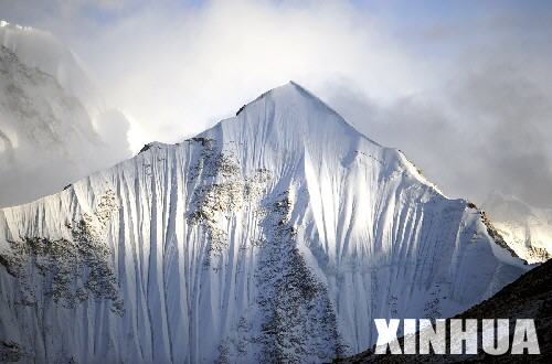 xin_39205050421478433201219.jpg