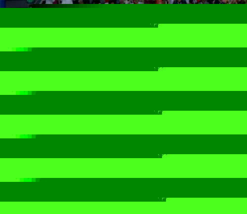 12253509.jpg