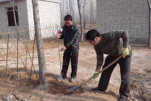 锻炼身体、快乐劳动
