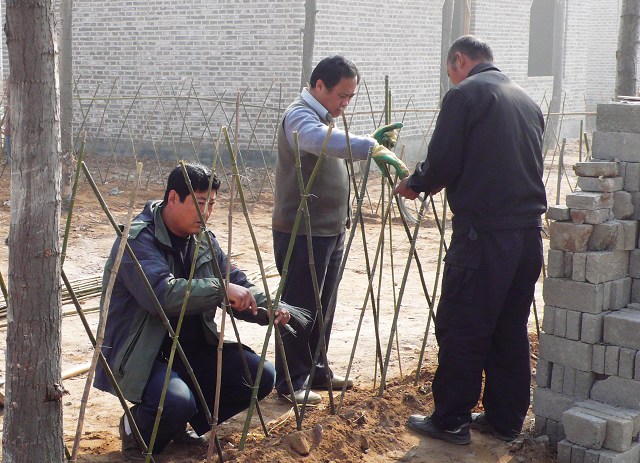 热爱劳动、精益求精