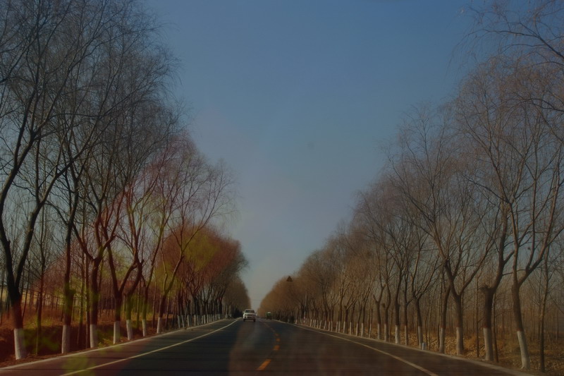 DSCF2724_缩小大小.JPG