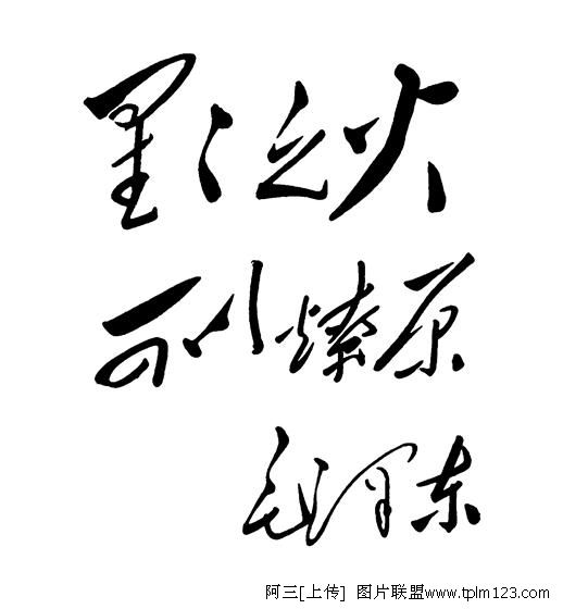 8491955006725.jpg
