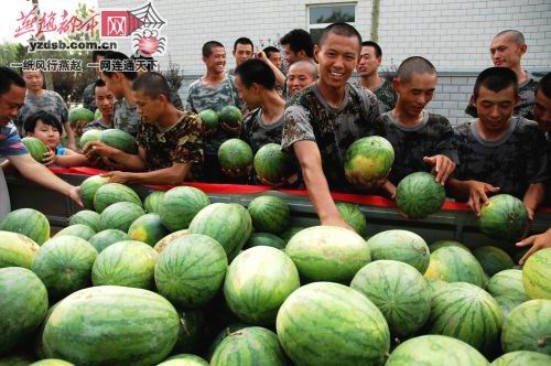 无标题.jpg